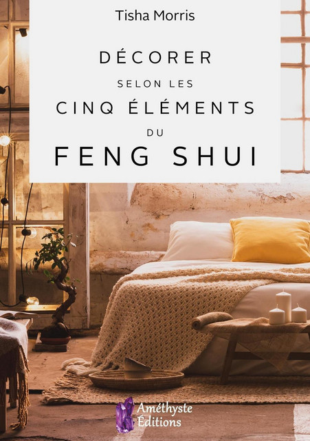 Décorer selon les cinq éléments du Feng Shui - Tisha Morris - Améthyste